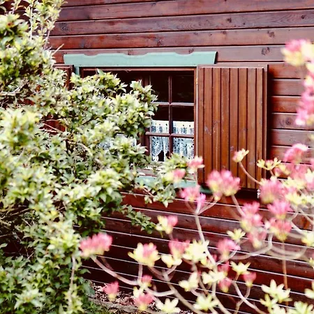 Forsthaus Luchsenburg Ohorn